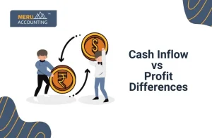 Cash Inflow vs Profit Differences