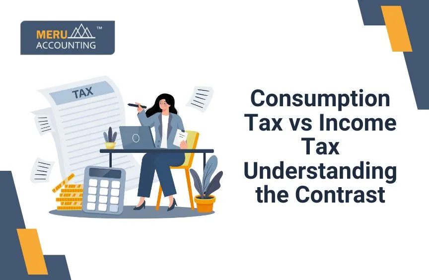 Difference between Consumption Tax and Income Tax