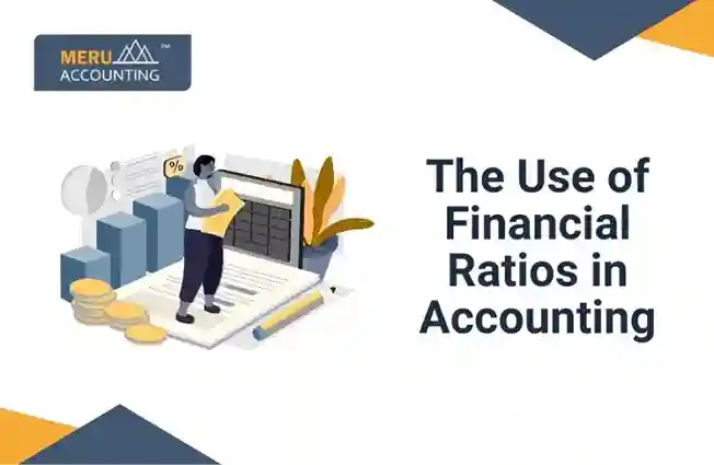 Blog and Insights 10 The Use of Financial Ratios in Accounting