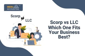Scorp vs LLC