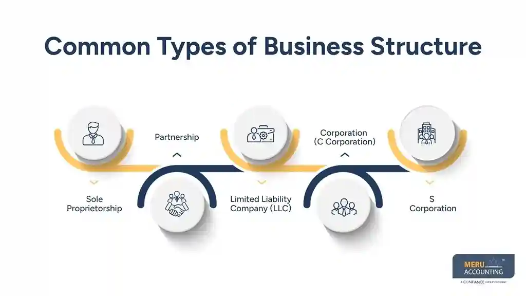 Common Types of Business Structure