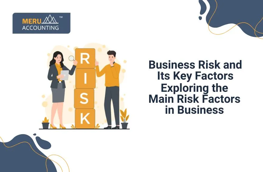 Business risk and its factors