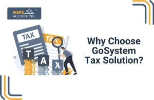 Why Choose GoSystem Tax RS?