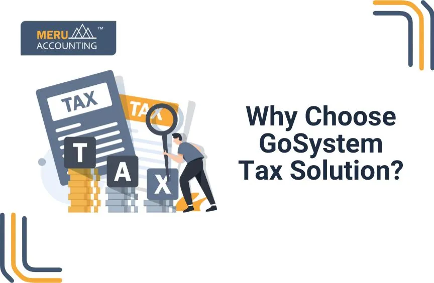 Why Choose GoSystem Tax RS?