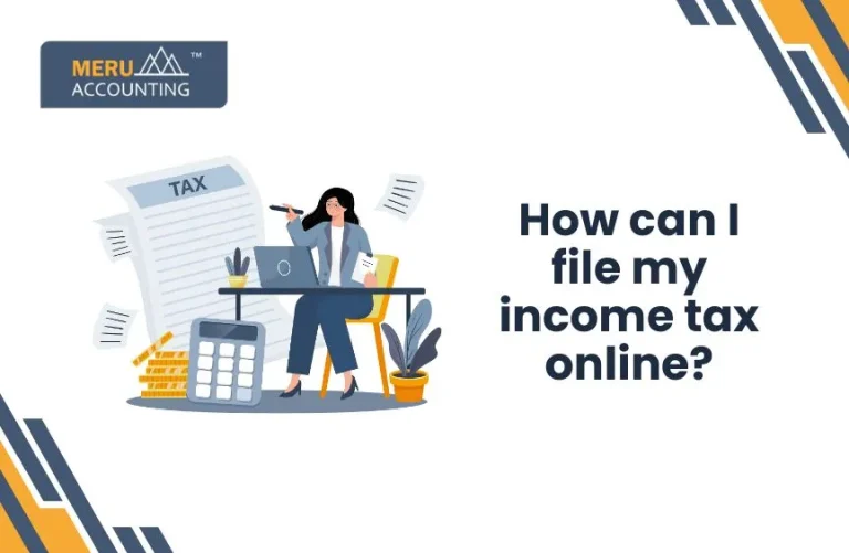 Blog and Insights 74 How can I do my income tax online?
