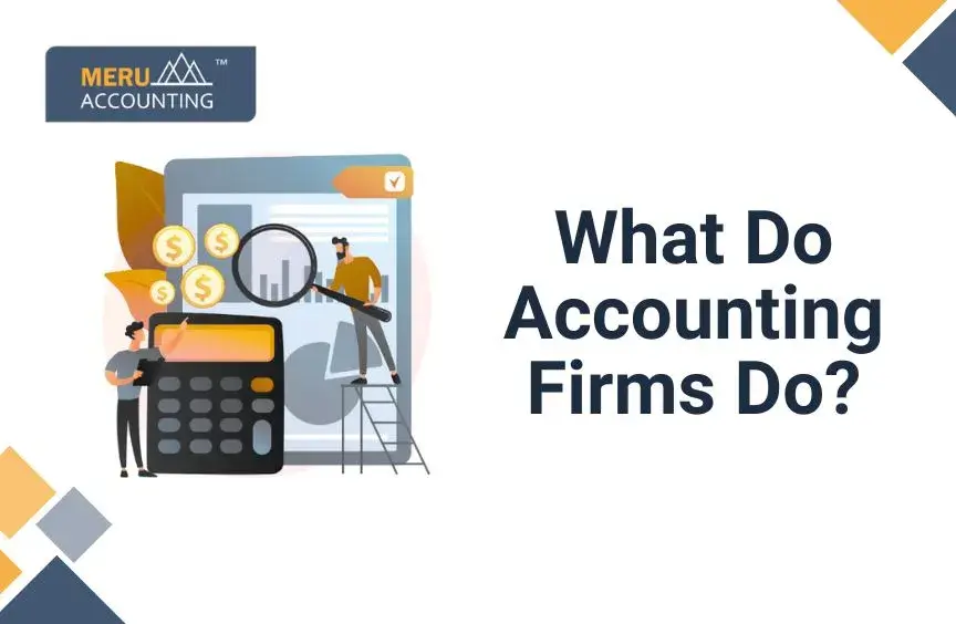 What Does an Accounting Firm Do? 13 What Does an Accounting Firm Do?