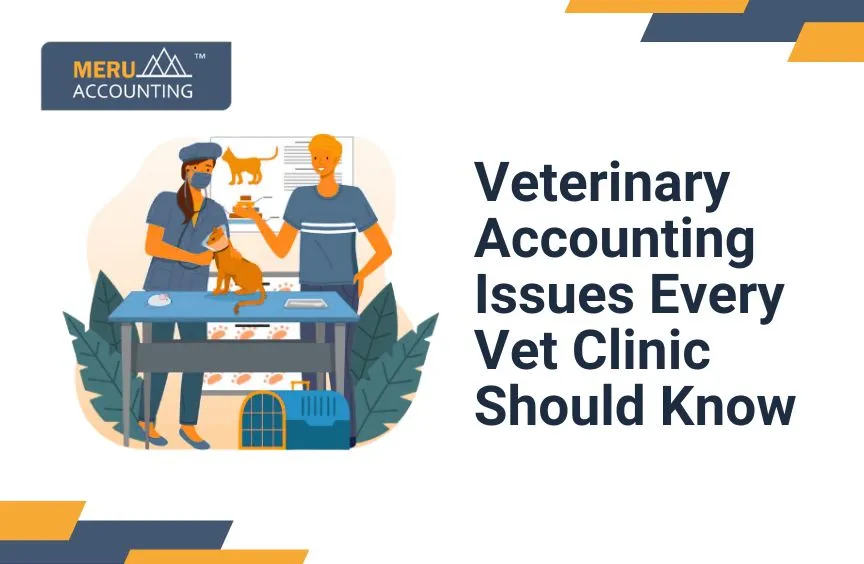What Accounting Challenges Do Veterinarians Face?