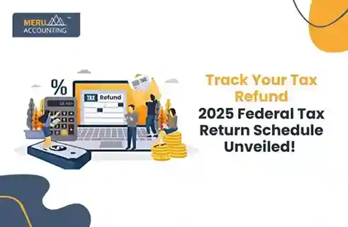 Blog and Insights 19 Track Your Tax Refund: 2025 Federal Tax Return Schedule Unveiled!