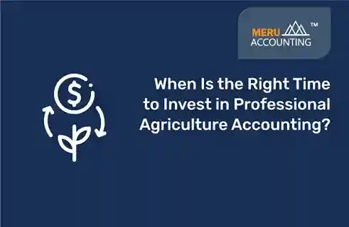 When Is the Right Time to Invest in Professional Agriculture Accounting? 8 Agriculture Accounting