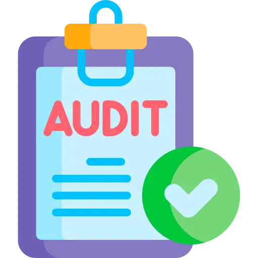 audit