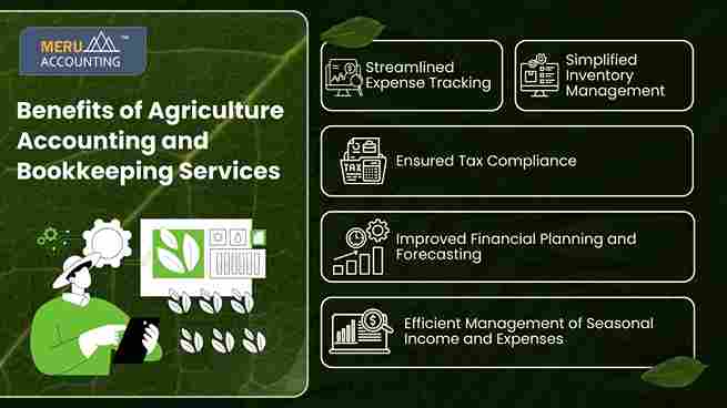 5 Ways Agriculture Bookkeeping Services Simplify Complex Farm Transactions 1 SM5YS 11zon