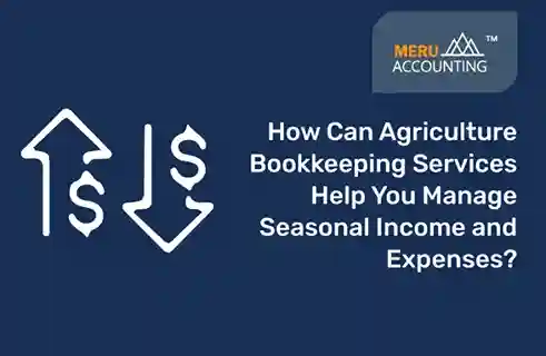 How Can Agriculture Bookkeeping Services Help You Manage Seasonal Income and Expenses? 8 agriculture bookkeeping services