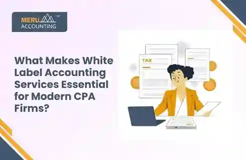 What Makes White Label Accounting Services Essential for Modern CPA Firms? 1 what makes white label accounting services essential for modern cpa firms?
