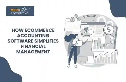 How Ecommerce Accounting Software Simplifies Financial Management 9 How Ecommerce Accounting software
