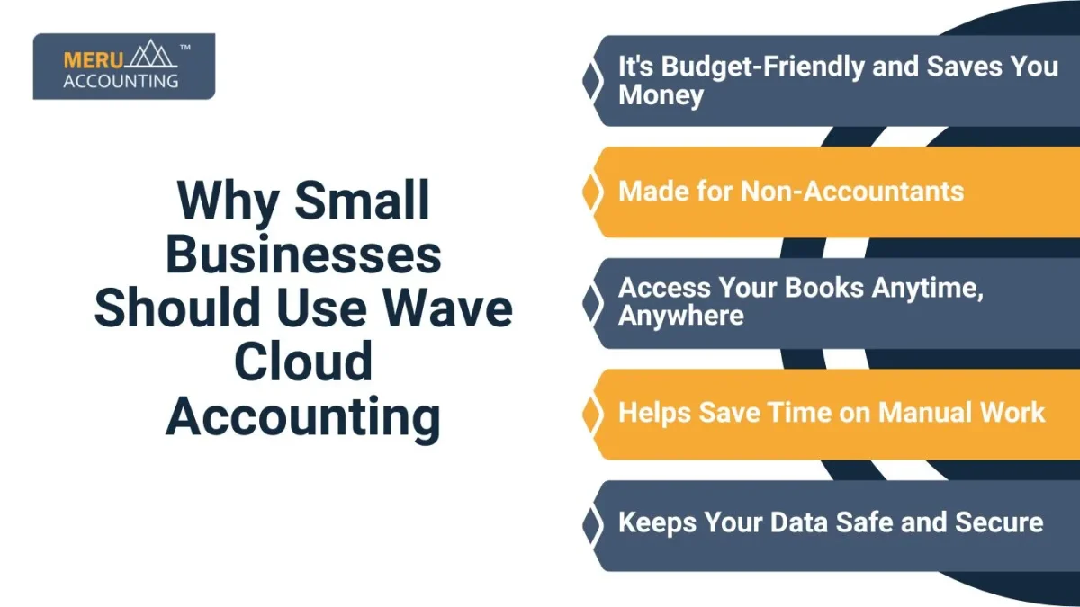 Why Small Businesses Should Use Wave Cloud Accounting
