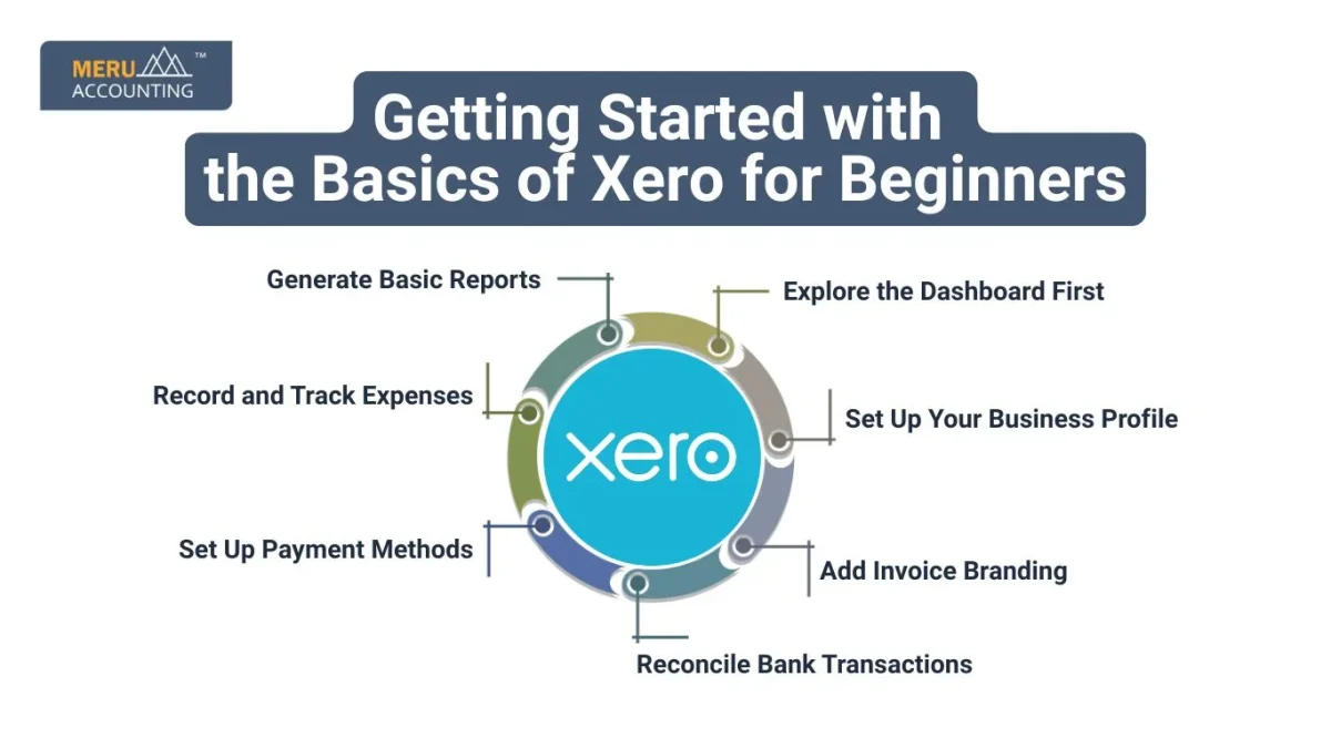 Getting Started with the Basics of Xero for Beginners