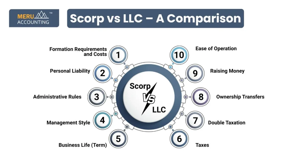 Scorp vs LLC – A Comparison