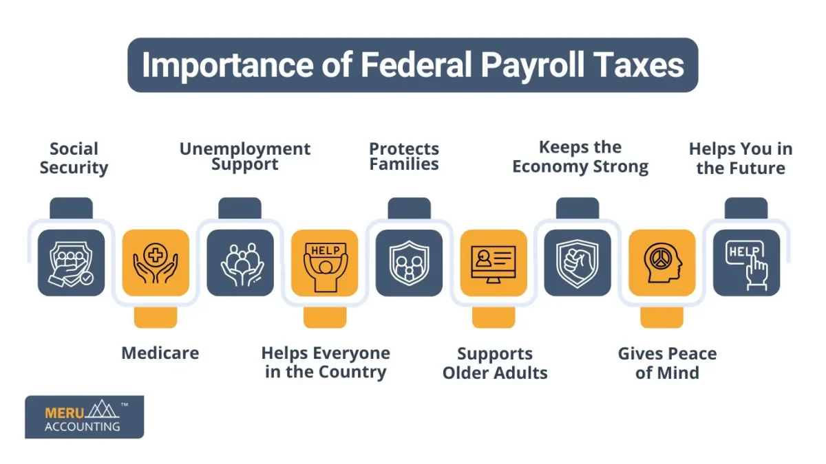 Importance of Federal Payroll Taxes
