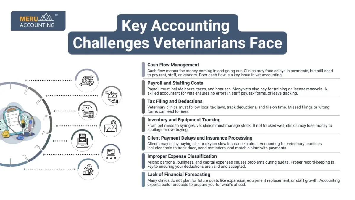 Key Accounting Challenges Veterinarians Face