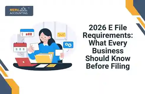 Blog and Insights 13 2026 E File Requirements: What Every Business Should Know Before Filing