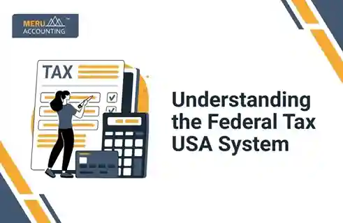 Blog and Insights 7 Understanding the Federal Tax USA System