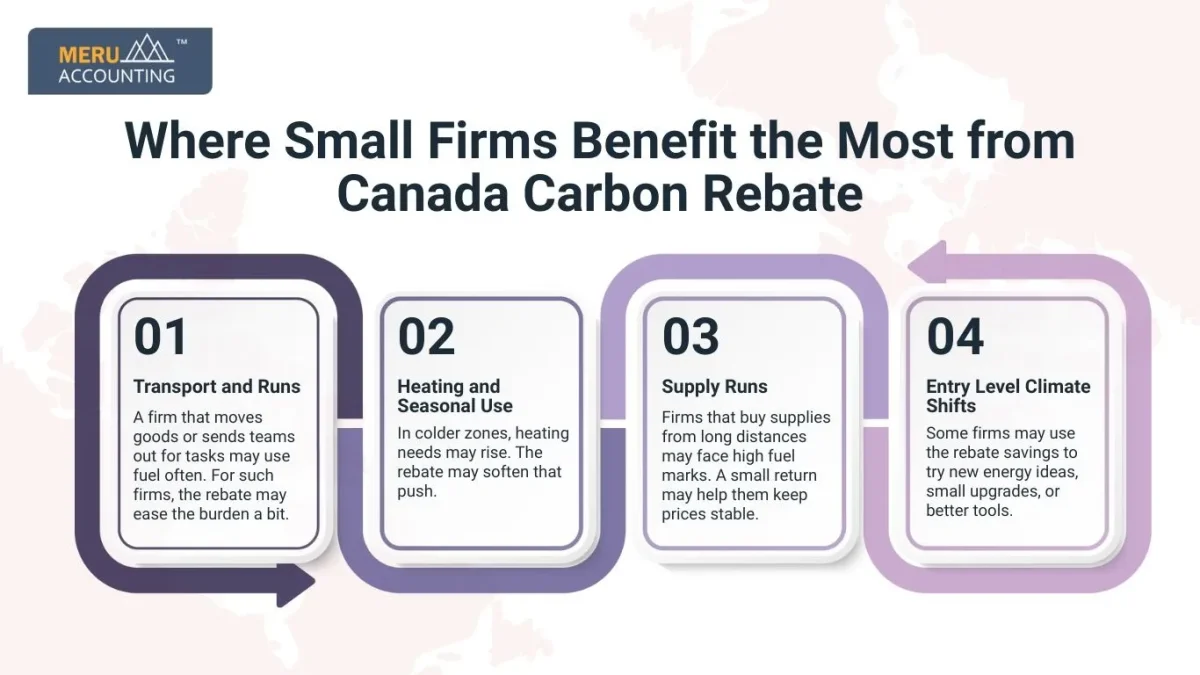Capital Cost Allowance, Immediate Expensing Rules