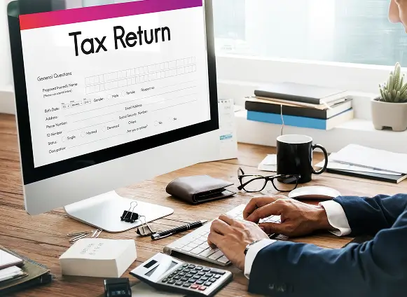 Tax Preparation and Regulatory Support