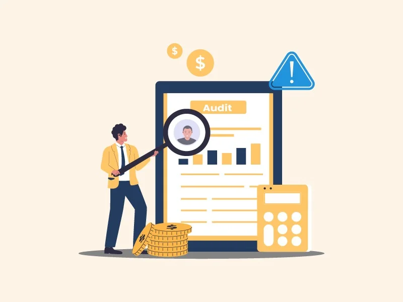 Hire an Accountant for Small Business to Reduce IRS Audit Risk 12 Hire an Accountant for Small Business to Reduce IRS Audit Risk