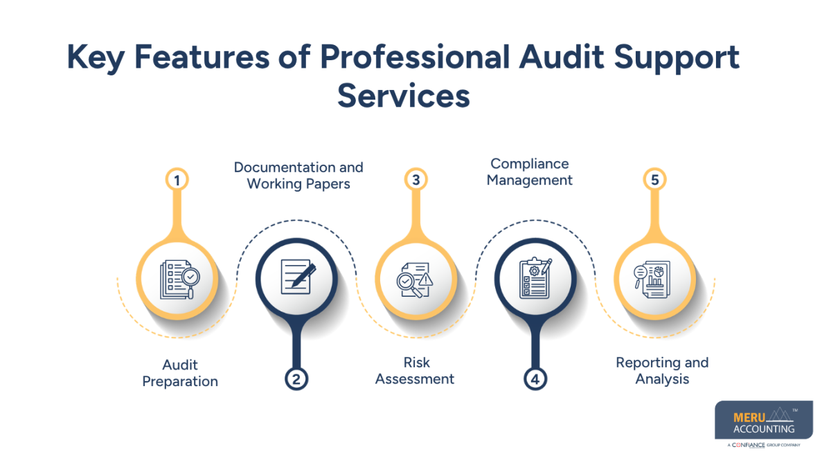 Professional Audit Support Services for Accurate and Compliant Audits 1 professional audit support services