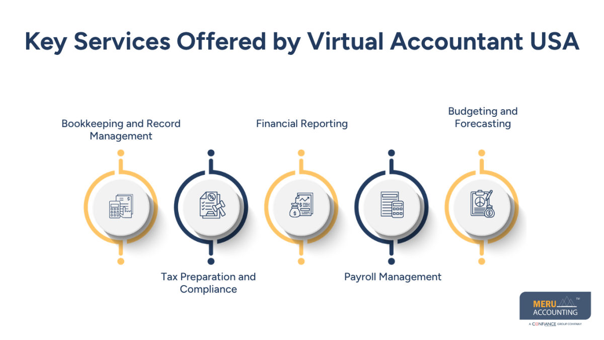 Hire Virtual Accountant USA for Businesses and Startups 1 Virtual Accountant USA