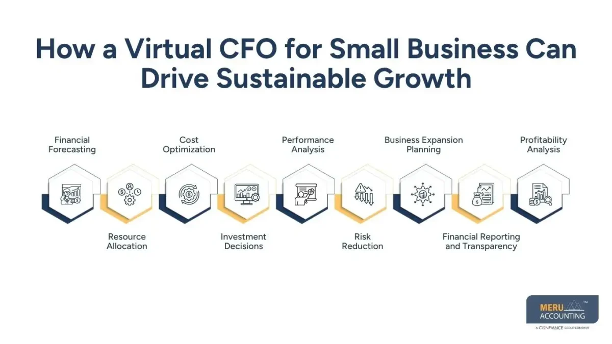 How a Virtual CFO for Small Business Can Drive Sustainable Growth- Outsource Accounting for Small Business