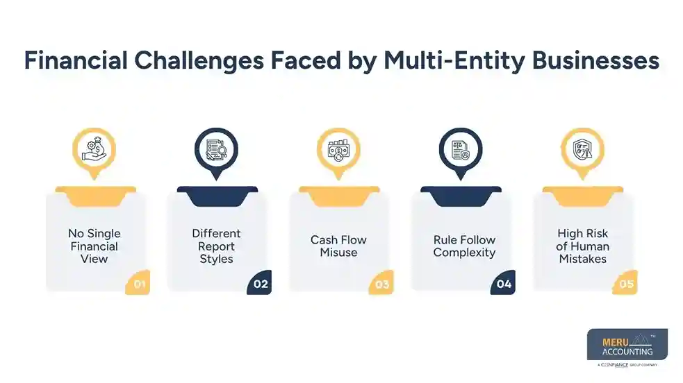 Financial Challenges Faced by Multi-Entity Businesses