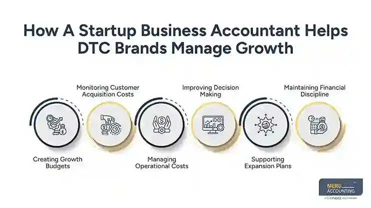 How A Startup Business Accountant Helps DTC Brands Manage Growth