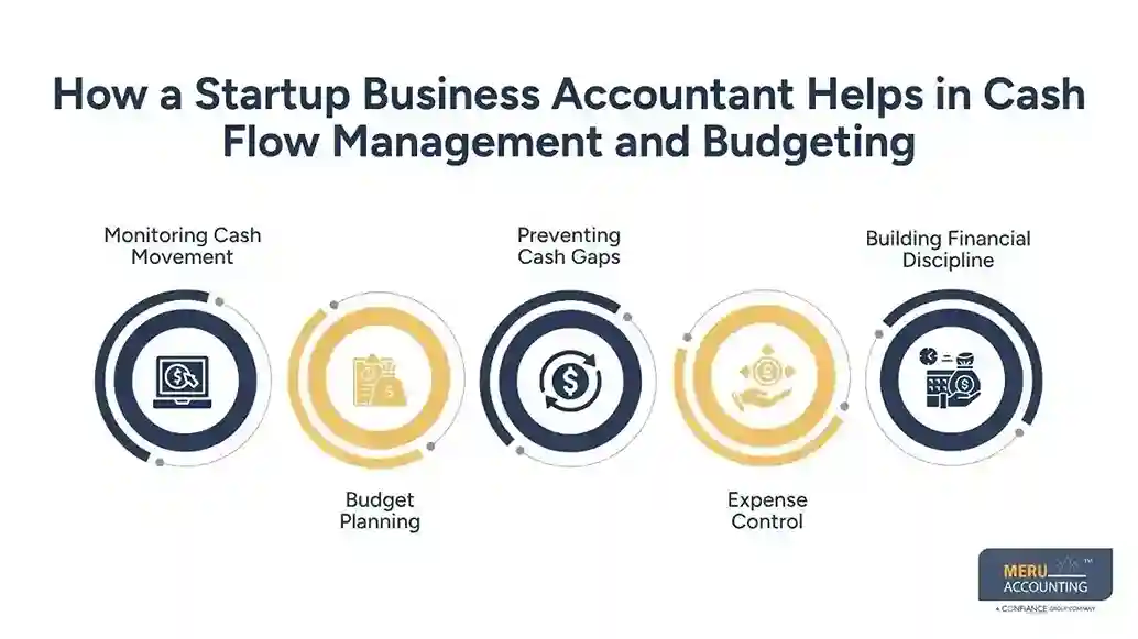 How a Startup Business Accountant Helps in Cash Flow Management and Budgeting