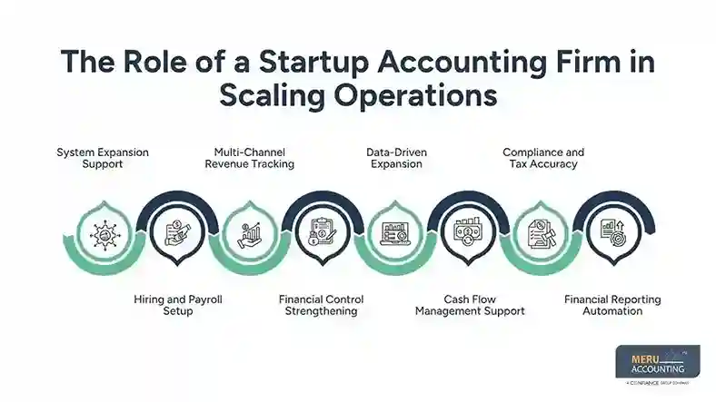 The Role of a Startup Accounting Firm in Scaling Operations