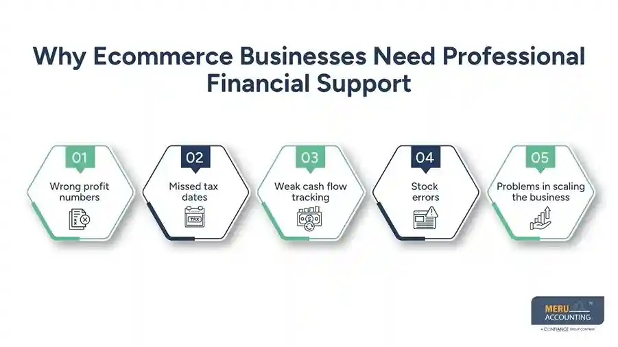 Why Ecommerce Businesses Need Professional Financial Support-accountancy services