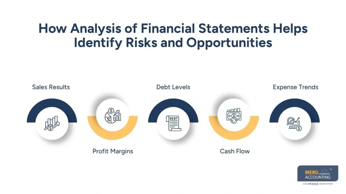 How Analysis of Financial Statements Helps Identify Risks and Opportunities-financial analysis outsourcing