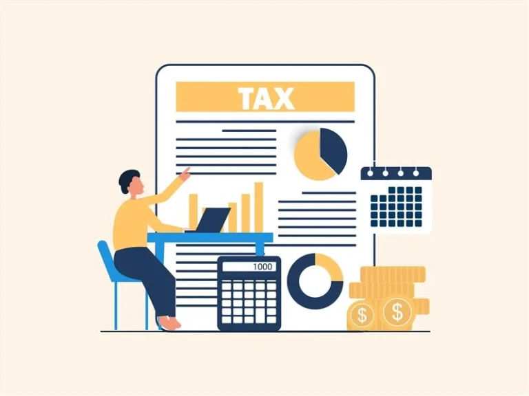 Blog and Insights 179 What Should Businesses Look for in Professional Tax & Bookkeeping Services-tax preparation services