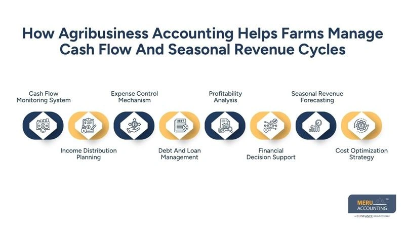 How Agribusiness Accounting Helps Farms Manage Cash Flow And Seasonal Revenue Cycles-Farm accounting Services