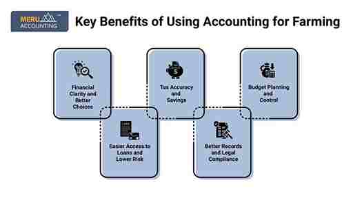 Key Benefits of Using Accounting For Farming 1 undefined 2025 06 30T142727.018 11zon