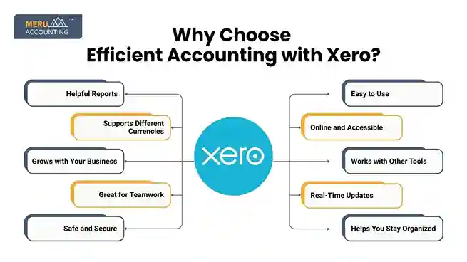 Why Choose Efficient Accounting with Xero? undefined 2025 07 03T122039.194 11zon 11zon