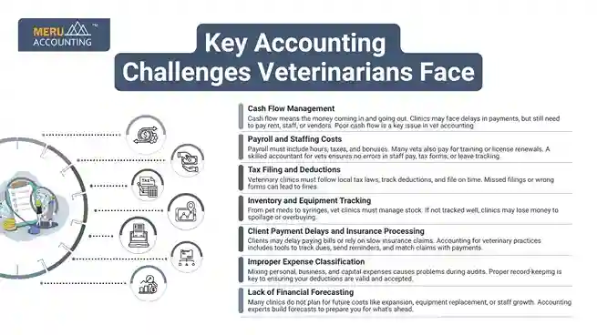 Key Accounting Challenges Veterinarians Face undefined 2025 09 16T161950.357 11zon 11zon